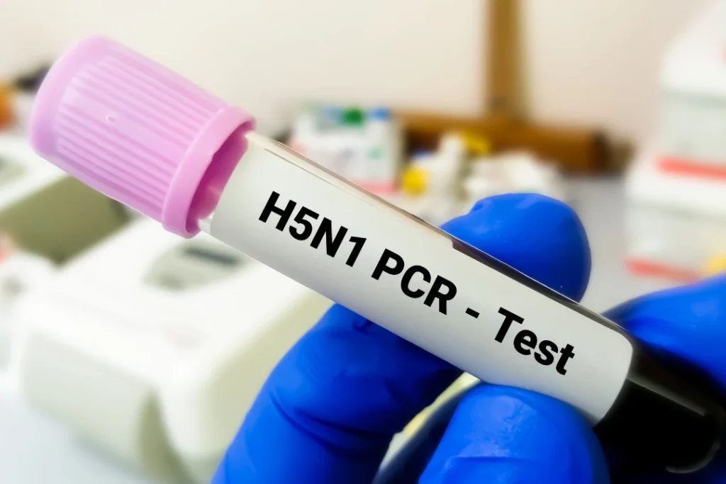 PCR test at home dubai